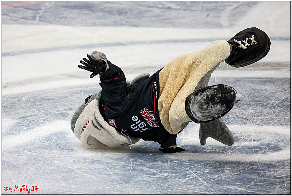 Koelner Haie - Schwenninger Wild Wings, 11.12.2016